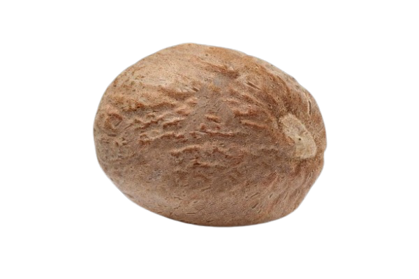 Jaiphal  / Nutmeg (1 nos)