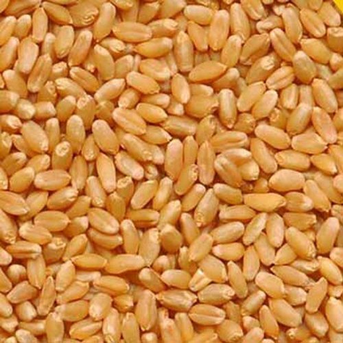 Wheat Sehore 5kg